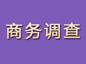 阿尔山商务调查